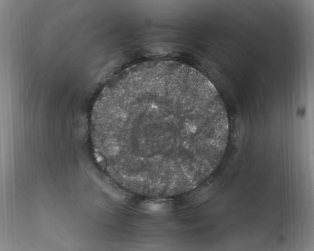 X0000111860563200909031754