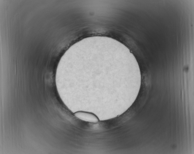 X0000111860564200909031754