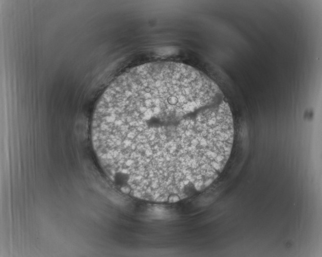 X0000111860565200909031754