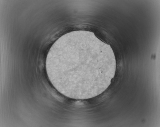 X0000111860566200909031754