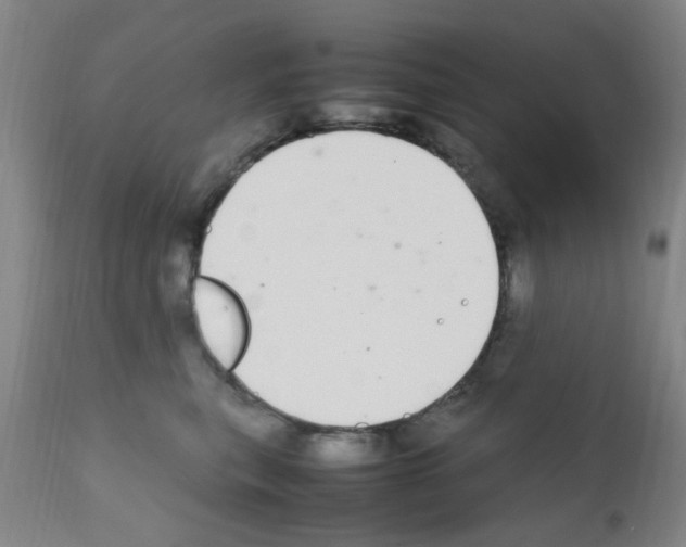 X0000111860567200909031754