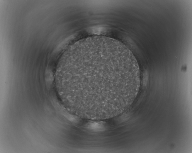 X0000111860569200909031754