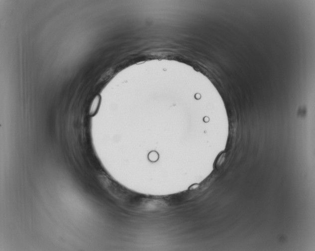 X0000111860572200909031754