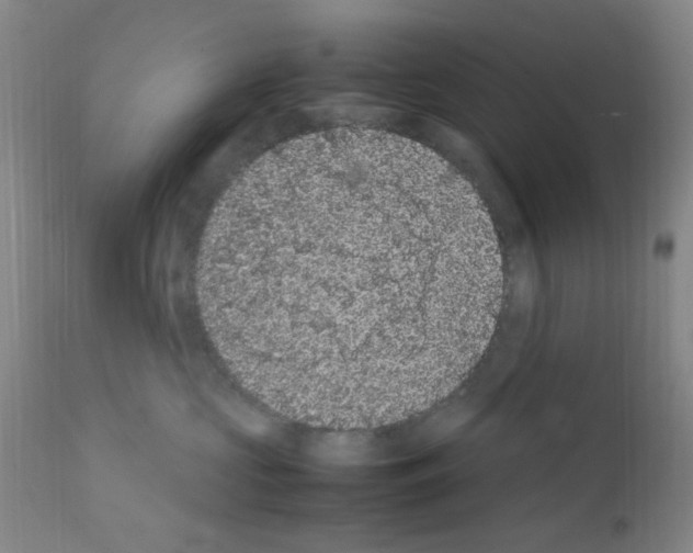 X0000111860573200909031754