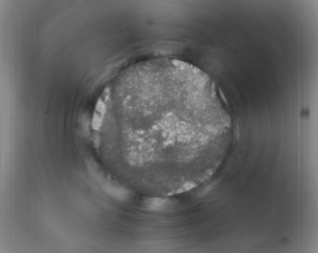 X0000111860575200909031754