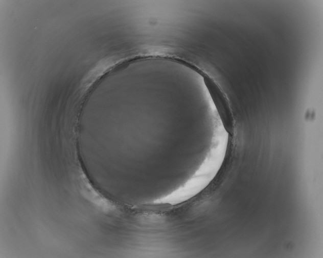 X0000111860577200909031753