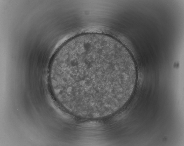 X0000111860578200909031753