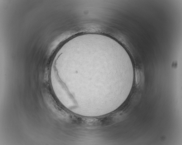 X0000111860579200909031753