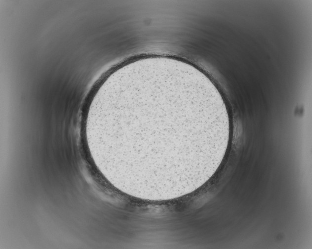 X0000111860580200909031753
