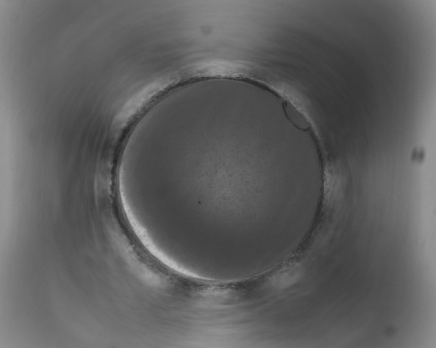X0000111860581200909031753