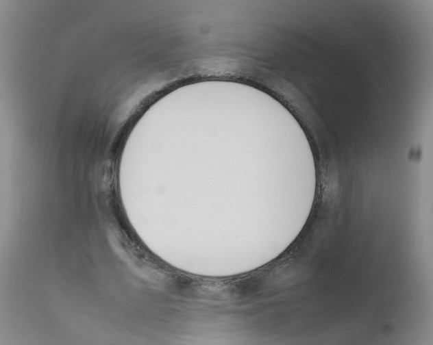 X0000111860583200909031753