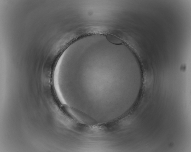 X0000111860585200909031753
