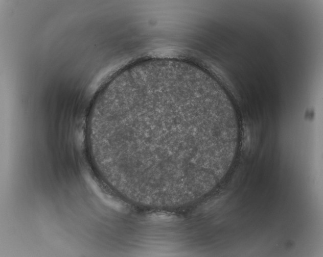 X0000111860586200909031753