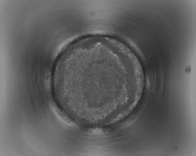X0000111860588200909031753