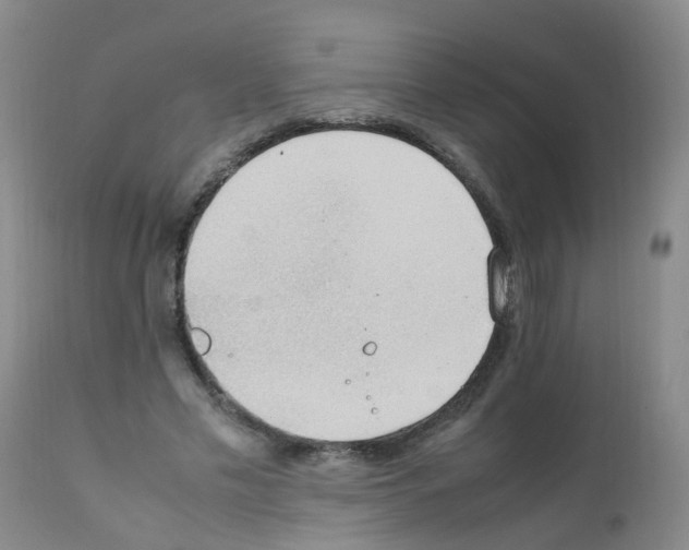 X0000111860589200909031753