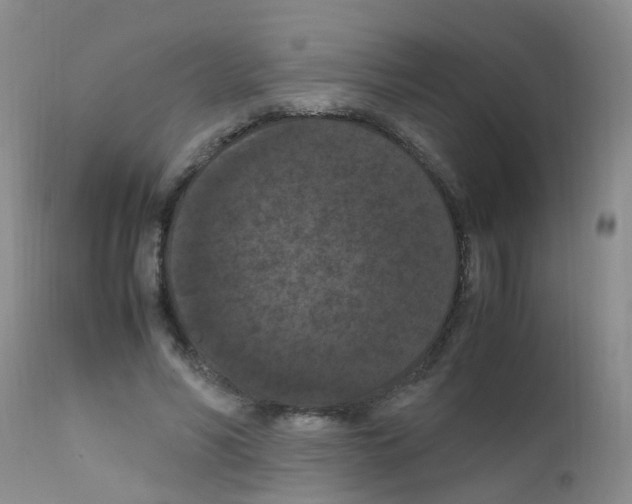 X0000111860590200909031753