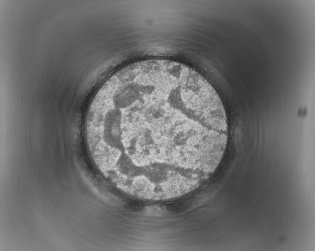 X0000111860591200909031753