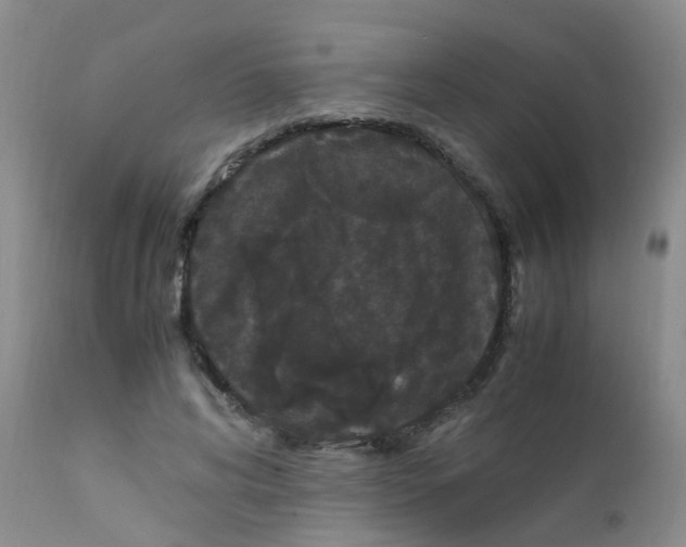 X0000111860592200909031753