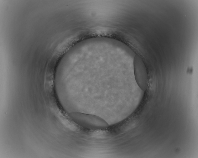 X0000111860593200909031753