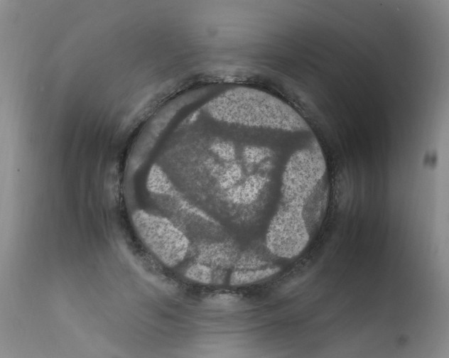 X0000111860594200909031753