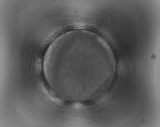 X0000111860598200909031753