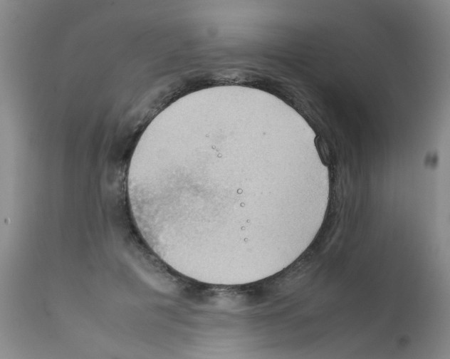 X0000111860601200909031753