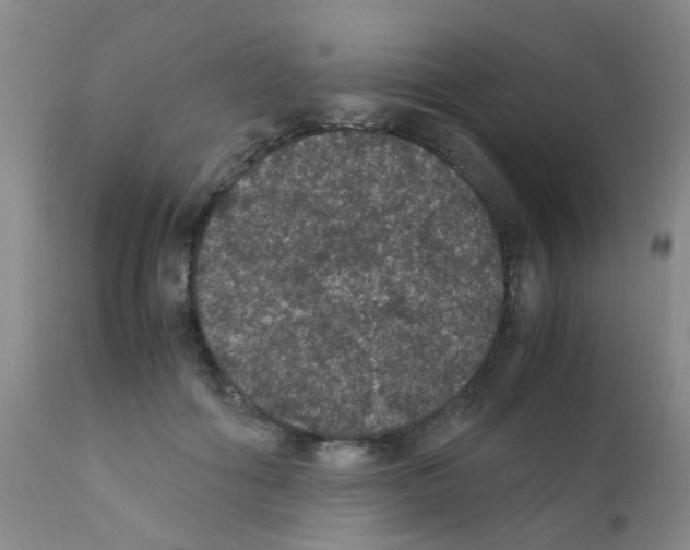 X0000111860602200909031753