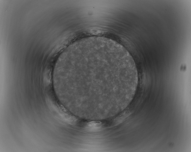 X0000111860606200909031753