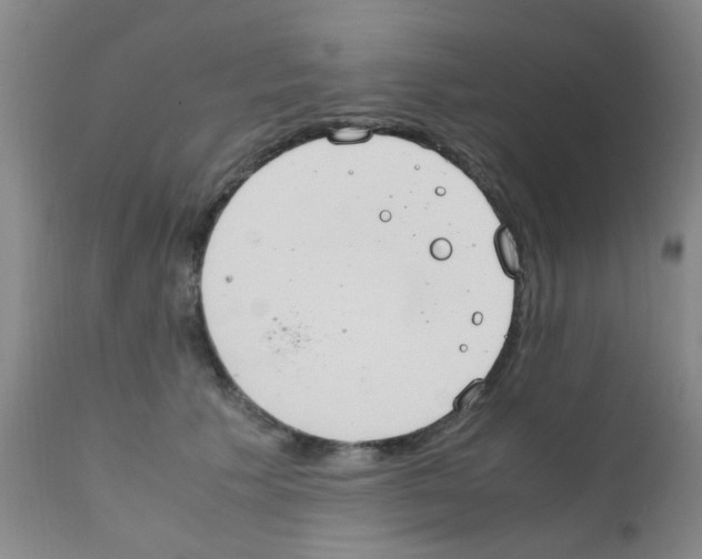 X0000111860609200909031753