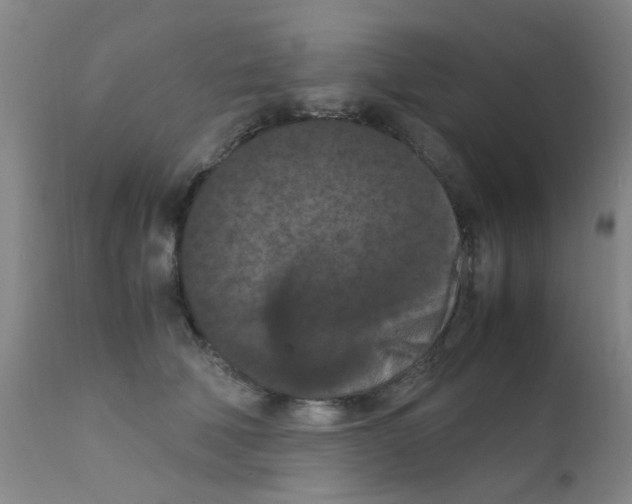 X0000111860610200909031753