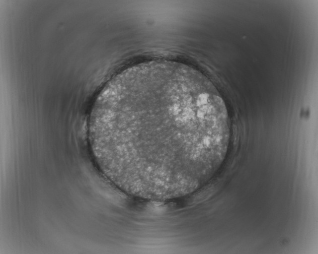 X0000111860613200909031753