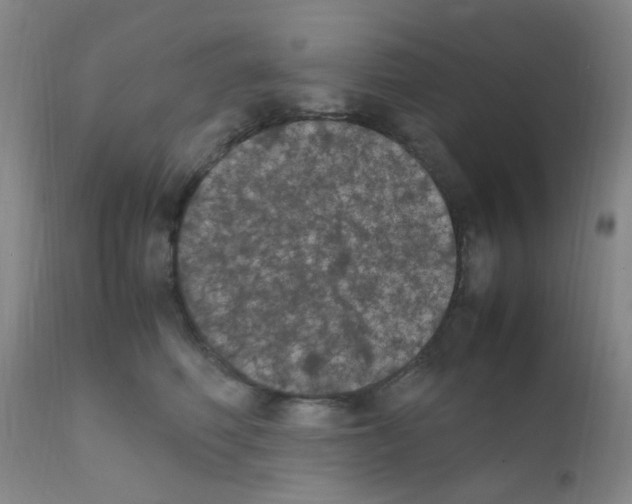X0000111860614200909031753