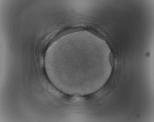 X0000111860617200909031753