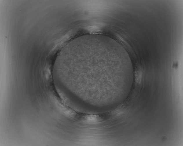 X0000111860618200909031752