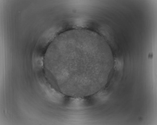 X0000111860621200909031752