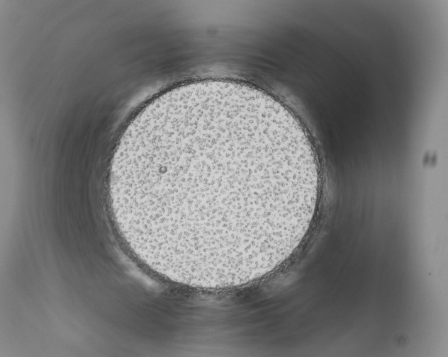 X0000111860625200909031751