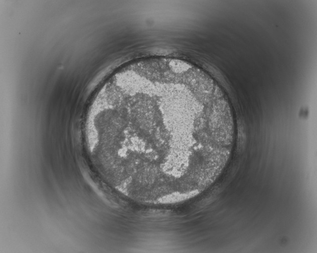 X0000111860626200909031751