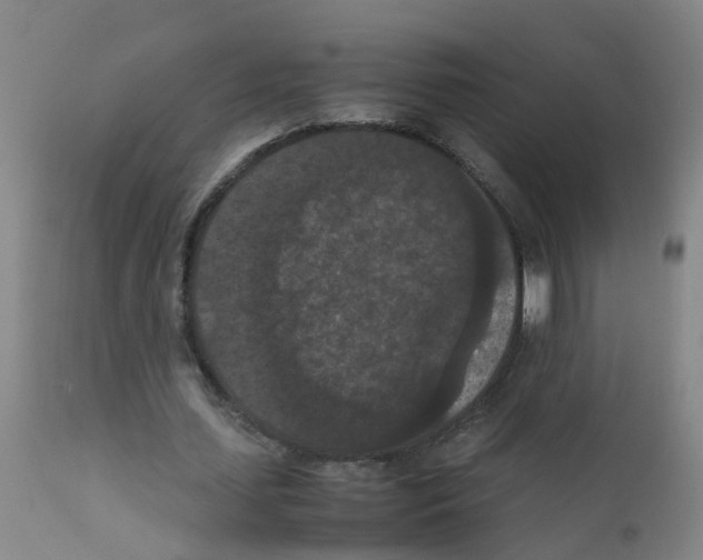 X0000111860627200909031751