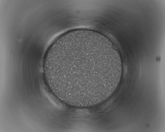 X0000111860628200909031752