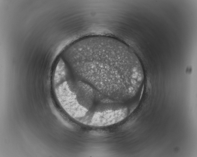 X0000111860630200909031752