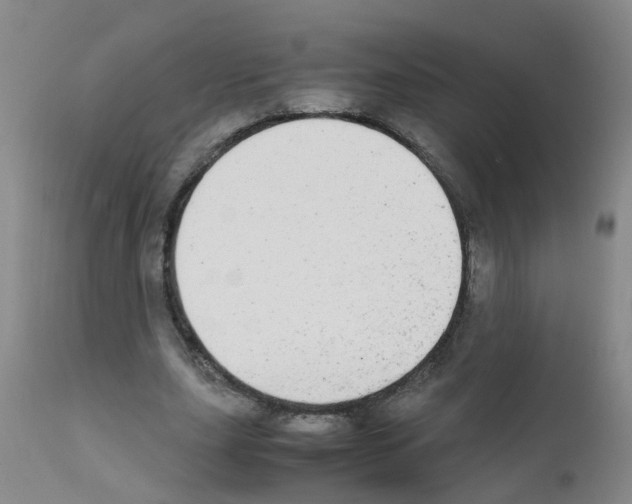 X0000111860631200909031752