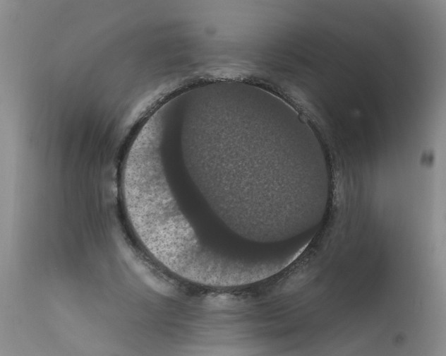 X0000111860634200909031752