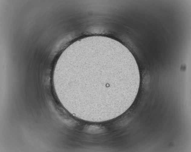 X0000111860635200909031752