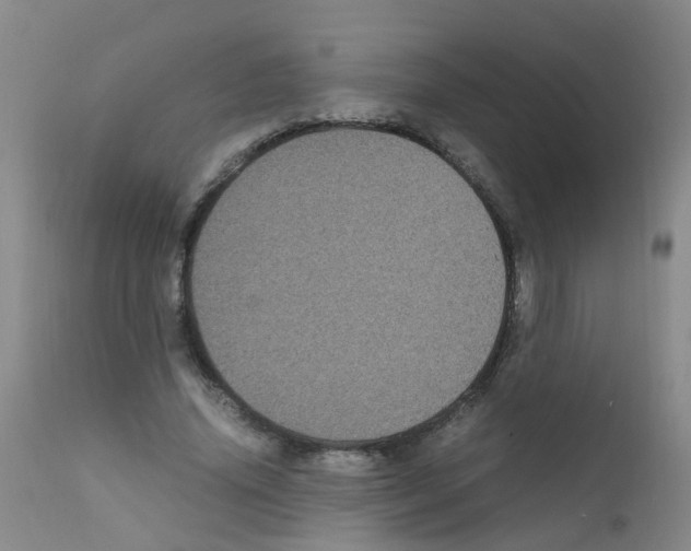 X0000111860636200909031752