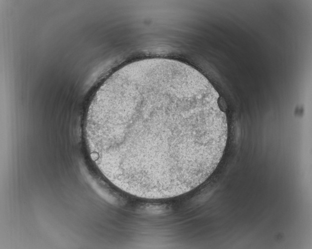 X0000111860638200909031752