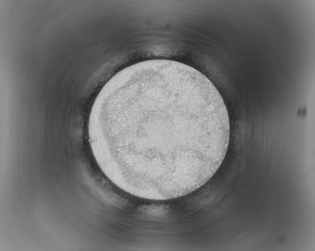 X0000111860639200909031752