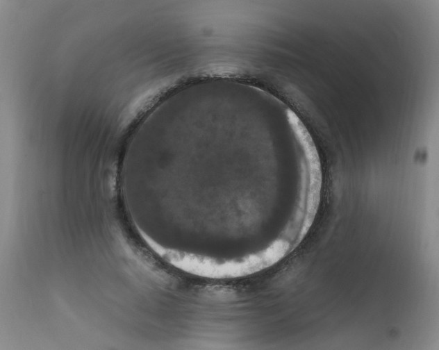 X0000111860640200909031752