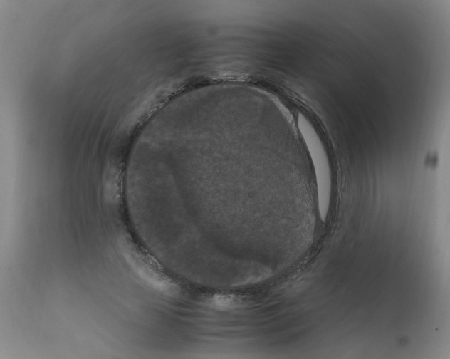 X0000111860641200909031752
