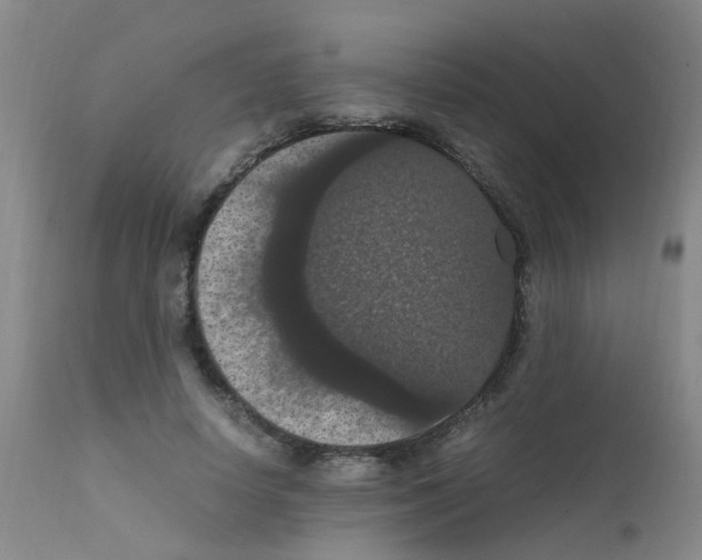 X0000111860642200909031752