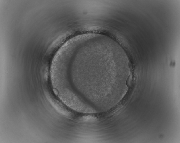 X0000111860644200909031752